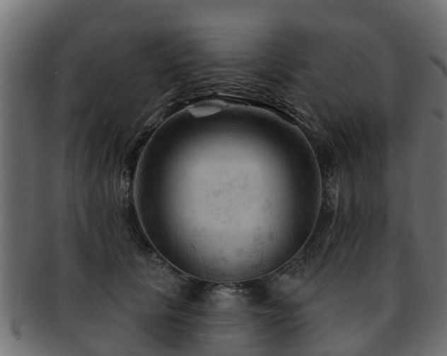 X0000093110657200709261251