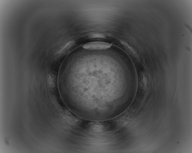 X0000093110658200709261251