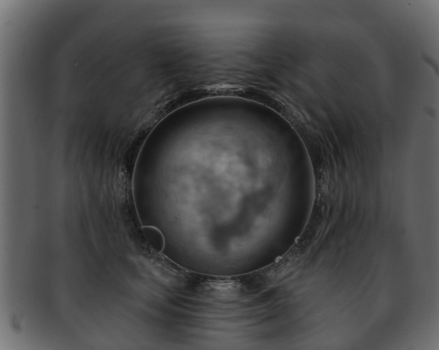 X0000093110659200709261251