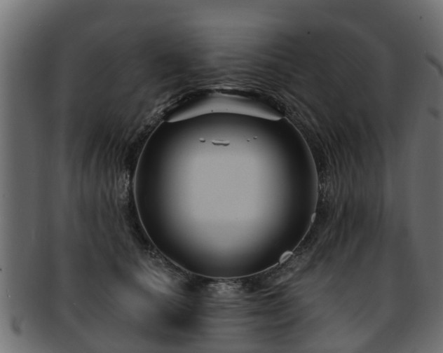 X0000093110660200709261251