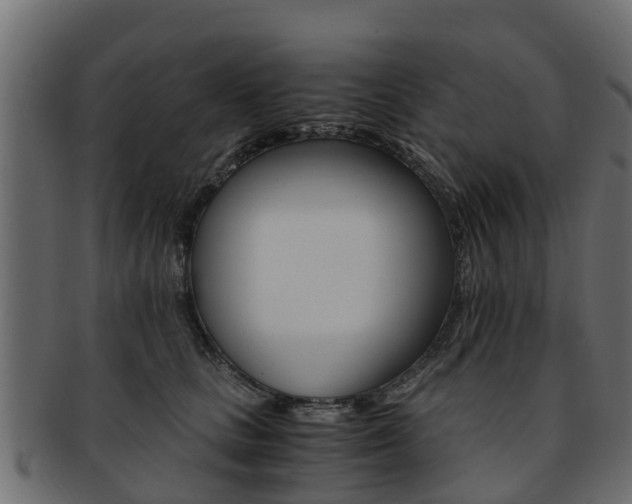 X0000093110661200709261252
