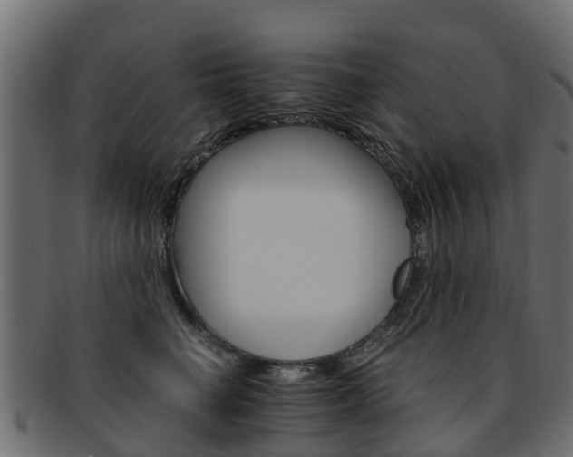 X0000093110662200709261252