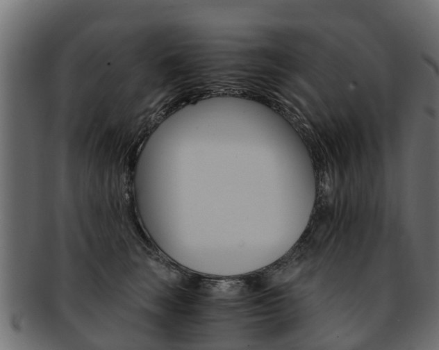 X0000093110663200709261252