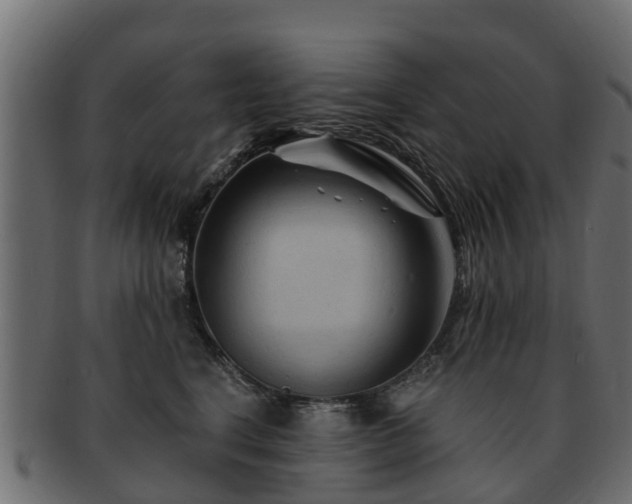 X0000093110664200709261252