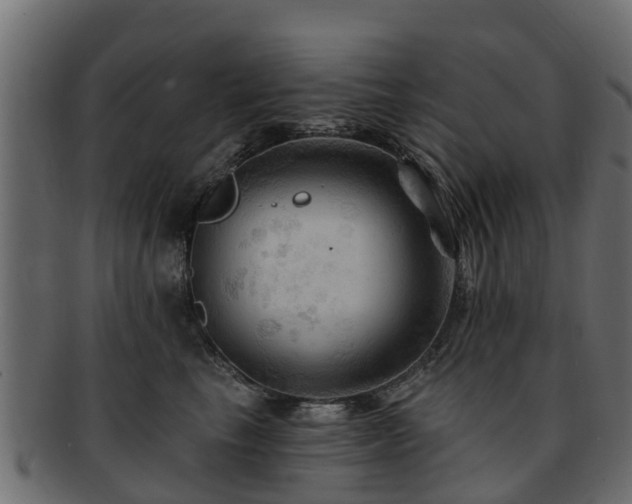 X0000093110665200709261252