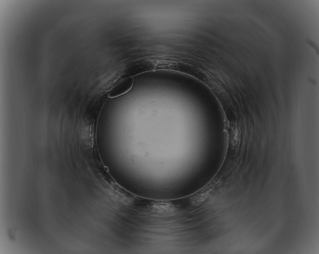 X0000093110666200709261252