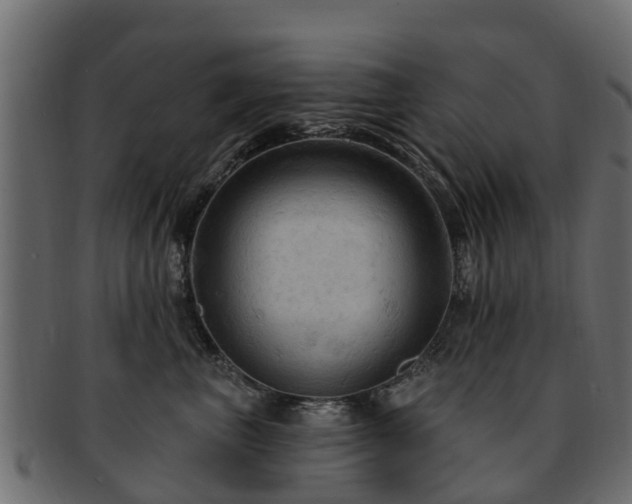 X0000093110667200709261252