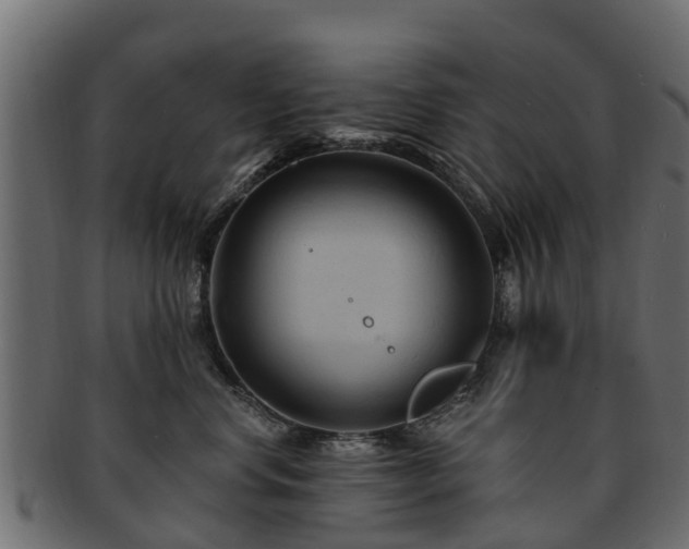 X0000093110668200709261252