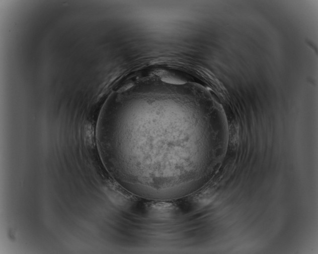 X0000093110669200709261252