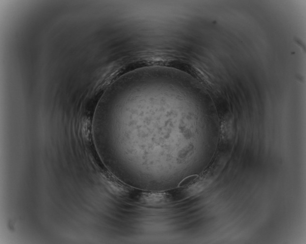 X0000093110671200709261252