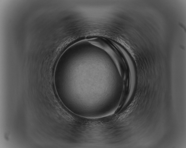 X0000093110673200709261251