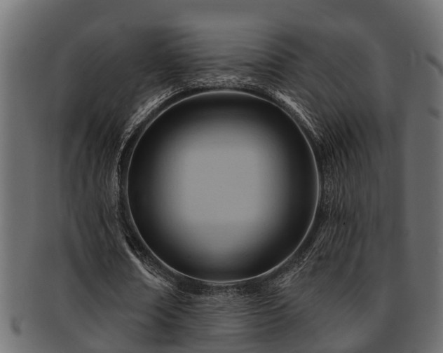 X0000093110674200709261251