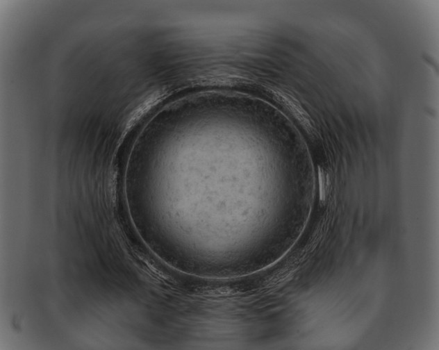 X0000093110675200709261251