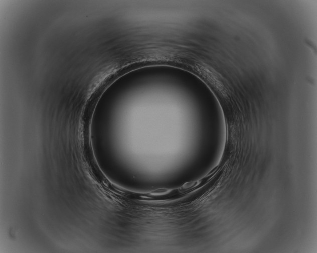X0000093110676200709261251