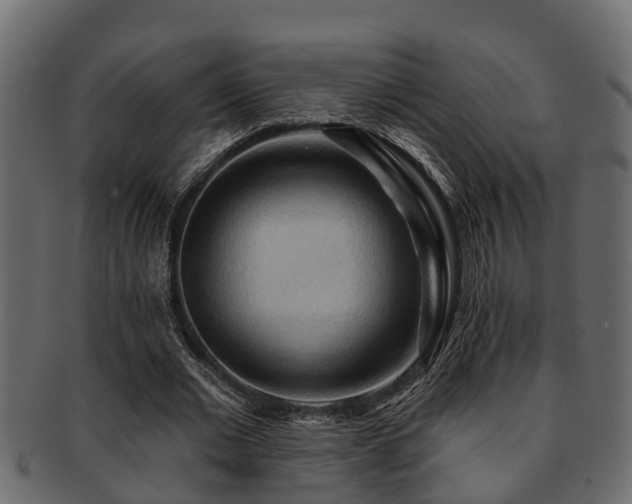 X0000093110677200709261251