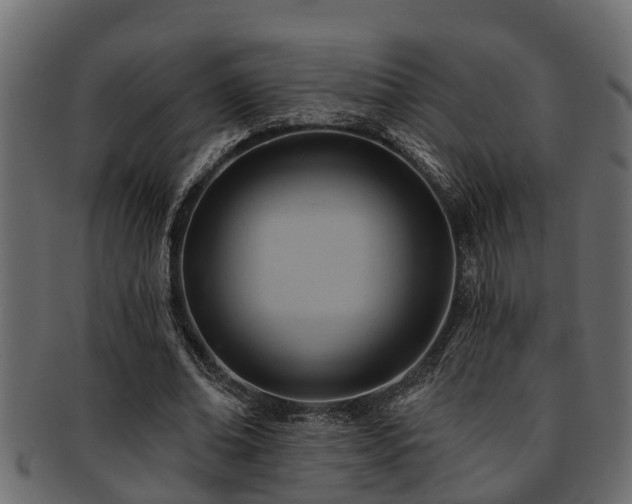 X0000093110678200709261251