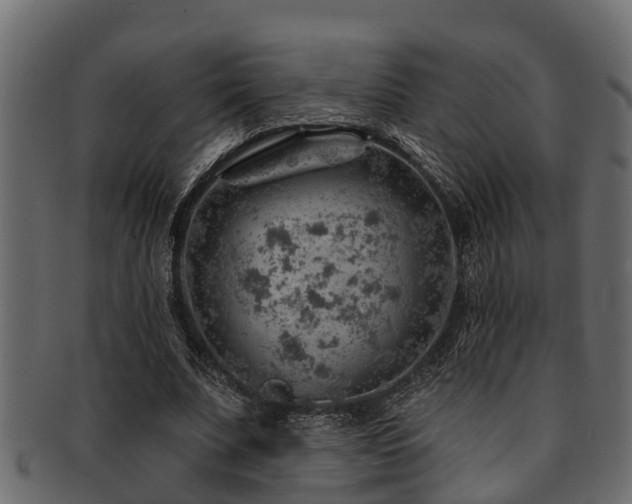 X0000093110679200709261251