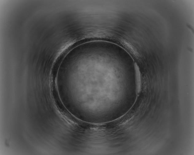 X0000093110680200709261251