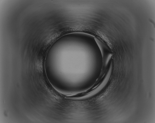 X0000093110681200709261251