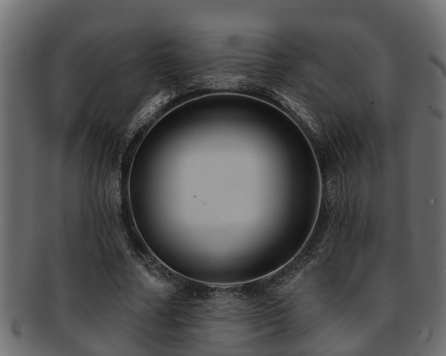 X0000093110682200709261251
