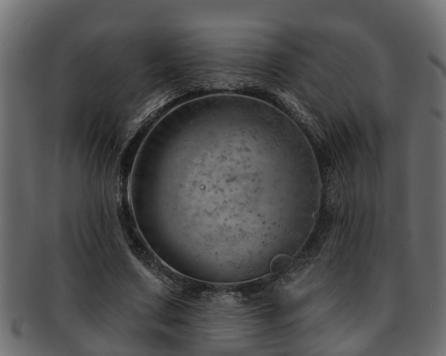 X0000093110683200709261251