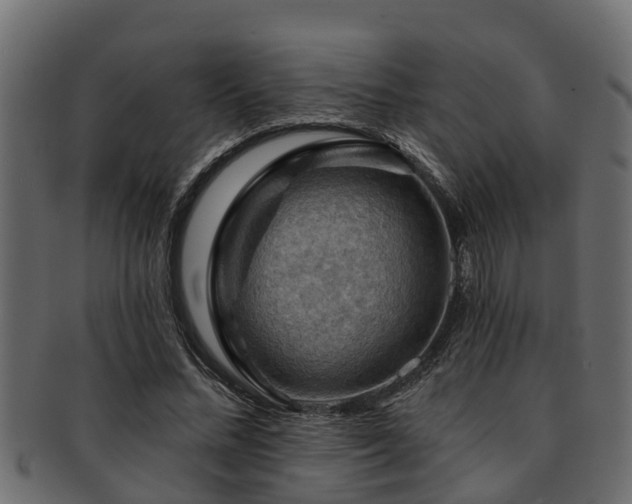 X0000093110684200709261251
