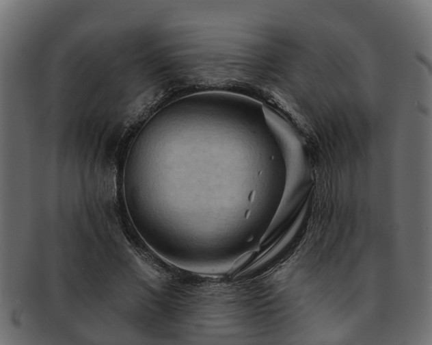 X0000093110685200709261251