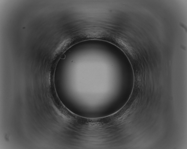 X0000093110686200709261251