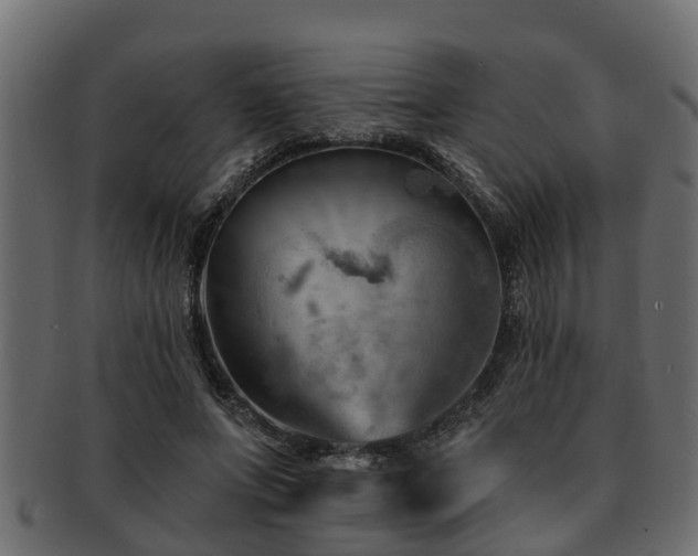 X0000093110687200709261251