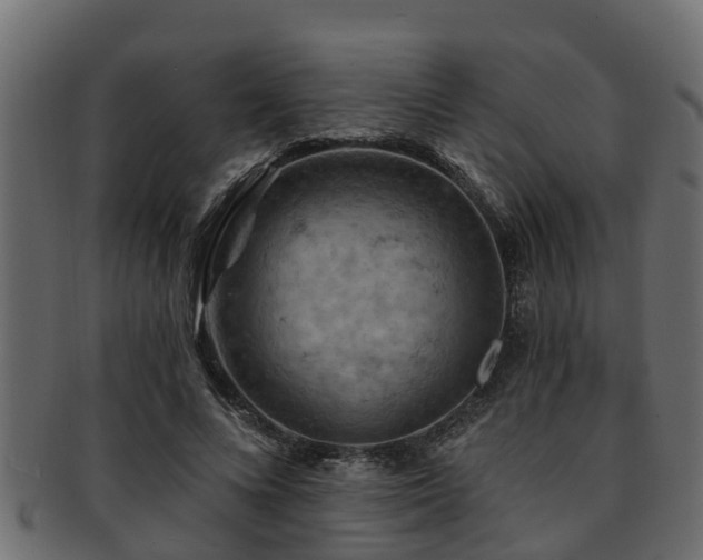 X0000093110688200709261251