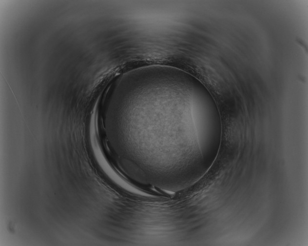 X0000093110689200709261251