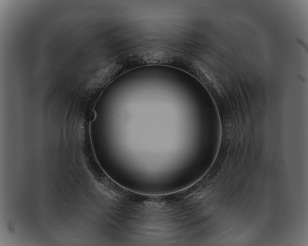X0000093110690200709261251