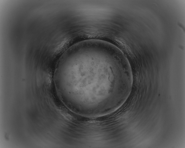 X0000093110691200709261251