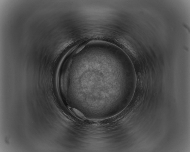 X0000093110692200709261251