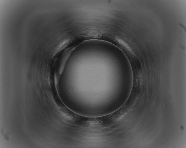 X0000093110693200709261251