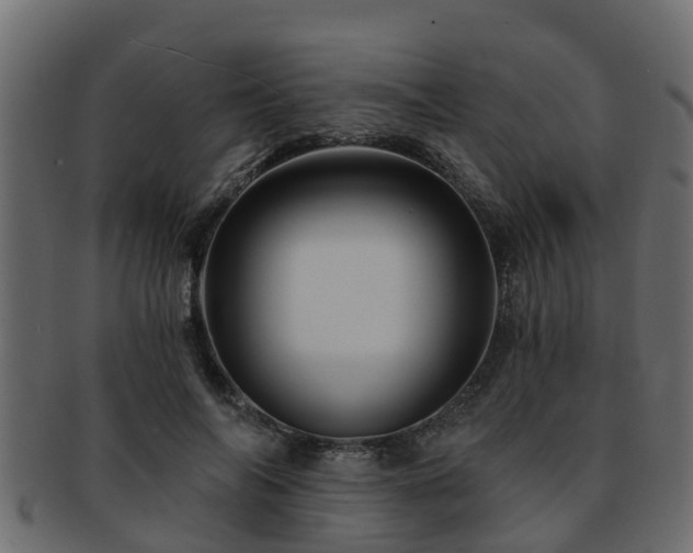 X0000093110694200709261251