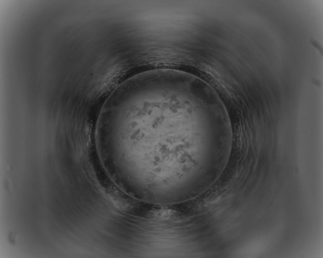 X0000093110695200709261251