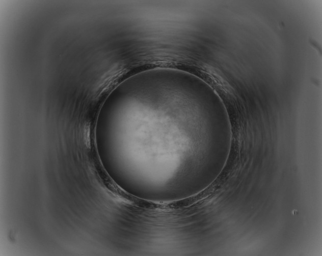 X0000093110696200709261251