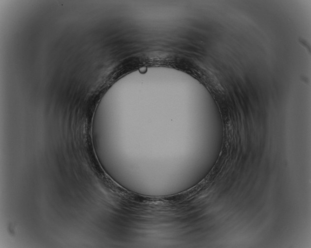 X0000093110698200709261251