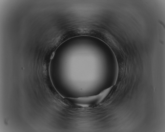 X0000093110700200709261251