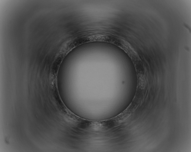 X0000093110701200709261251