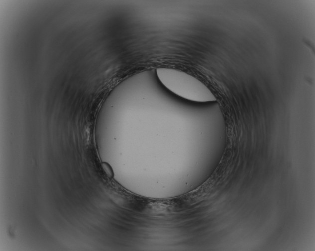 X0000093110703200709261251