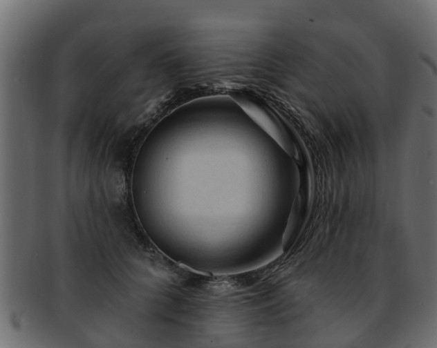 X0000093110704200709261251
