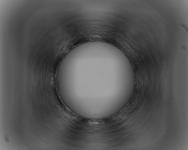 X0000093110706200709261251