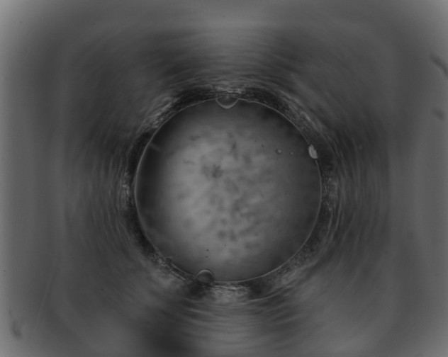 X0000093110707200709261251