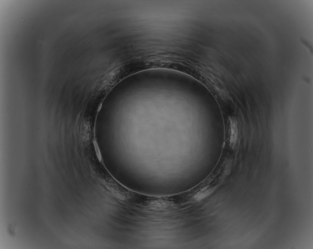 X0000093110708200709261251