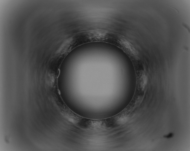 X0000093110709200709261251