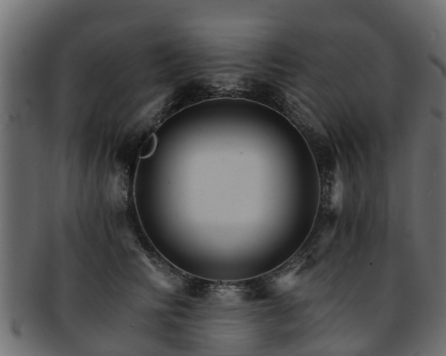 X0000093110710200709261251
