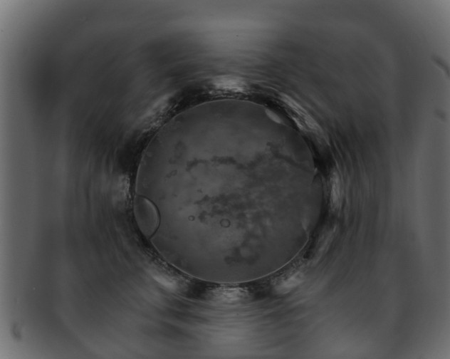 X0000093110711200709261251