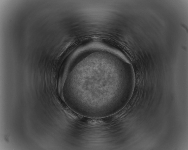 X0000093110712200709261251